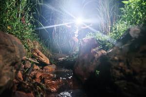 BIB: 
                            <button type="button" onclick="openModal(26413969)" class="btn btn-primary btn-sm float-right btn-popup" data-toggle="modal" data-target=".modal-high-quality">
                        <i class="fas fa-shopping-cart"></i> Add to Cart
                    </button>
                                            <button type="button" onclick="isThisMe(26413969, true)" class="btn btn-success btn-sm float-right btn-popup btn-isme hidden" data-toggle="tooltip" data-placement="bottom" title="นี่คือรูปของคุณใช่ไหม คลิกที่นี่เพื่อเอาเข้าอัลบั้ม">
                        <i class="fas fa-plus"></i> Add to album
                    </button>
                    <button type="button" onclick="isThisMe(26413969, false)" class="btn btn-warning btn-sm float-right btn-popup btn-isnotme hidden">
                        <i class="fas fa-ban"></i> Remove from album
                    </button>